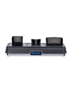POWER STATION WHAL