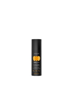 ALTER EGO ITALY STYLEGO CURL AMPLIFER 150 ml NEW